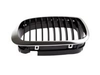 BMW 51138208683 Grille Left