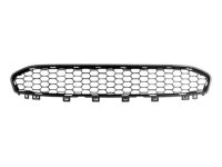 BMW 51118056259 Grille, Middle Bottom, Open