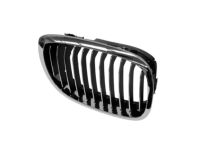 BMW 51137064318 Grille Right