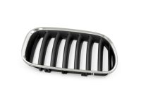 BMW 51137113734 Grille, Front, Right