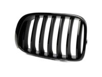 BMW 51712337762 Driver Side Kidney Grille