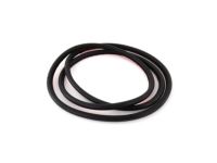 BMW 51219069322 Front Door Seal
