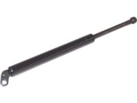 BMW 51248171480 Gas Pressurized Spring