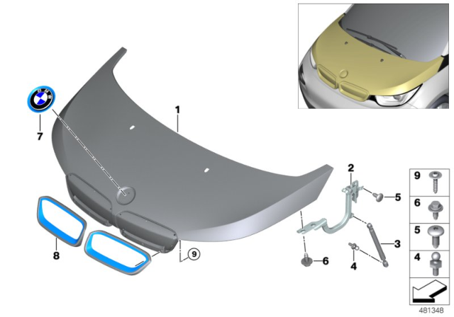 2019 BMW i3 Grille, Front, Left Diagram for 51137352701