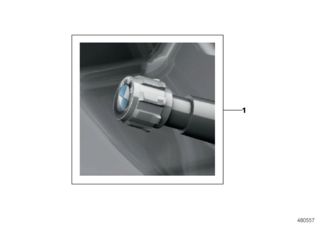 2013 BMW 328i Valve Caps Diagram