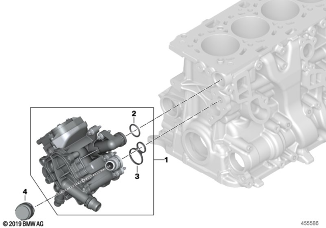 2017 BMW 230i Cooling System - Thermostat Housing Diagram