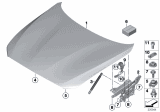 Diagram for BMW 230i xDrive Lift Support - 51237239233