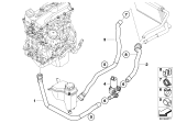 Diagram for BMW 330i Cooling Hose - 64216951946