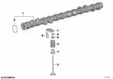 Diagram for 2019 BMW M4 Rocker Shaft Spring Kit - 11347563462