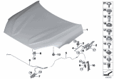 Diagram for 2020 BMW Z4 Lift Support - 51237435543