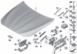 Diagram for BMW 550i xDrive Hood Lift Support - 51237309119