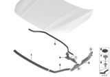 Diagram for BMW 228i xDrive Gran Coupe Hood Lift Support - 51767450921