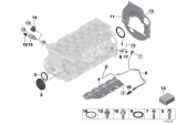 Diagram for BMW 640i Gran Coupe Oil Pan Gasket - 11137600482