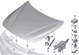 Diagram for 2016 BMW M4 Hood Lift Support - 51238059044