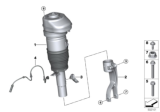 Diagram for 2020 BMW X6 Shock Absorber - 37106892426