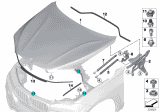 Diagram for 2017 BMW X6 M Hood Lift Support - 51237294524