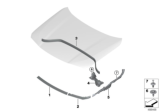 Diagram for 2020 BMW X2 Hood Lift Support - 51765A04E72
