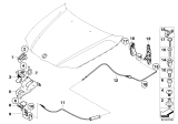 Diagram for BMW 330xi Hood Cable - 51237201904