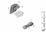 Diagram for BMW Engine Mount Torque Strut - 22116876791