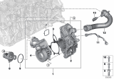 Diagram for 2020 BMW X3 M Cooling Hose - 11538054849