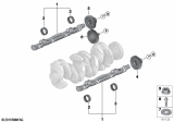 Diagram for BMW X3 Crankshaft Gear - 11278509738