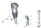 Diagram for 2020 BMW X5 Shock Absorber - 37106869031