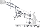 Diagram for BMW 330e Cooling Hose - 64219329652