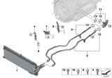 Diagram for BMW X3 Oil Cooler Hose - 17228672935