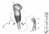 Diagram for 2019 BMW X7 Shock Absorber - 37106869035