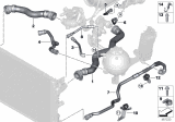 Diagram for BMW 540d xDrive Coolant Reservoir Hose - 17128572907