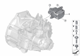 Diagram for BMW M235i xDrive Gran Coupe Motor And Transmission Mount - 22316886197