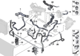 Diagram for 2015 BMW 535d xDrive Cooling Hose - 17128513603