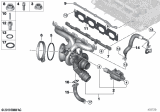 Diagram for 2019 BMW 430i xDrive Gran Coupe Exhaust Manifold - 11657637563