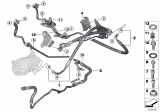 Diagram for 2018 BMW X5 Power Steering Hose - 32416855260