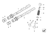 Diagram for BMW M3 Intake Valve - 11347838293