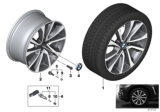 Diagram for 2018 BMW X6 Alloy Wheels - 36116858874