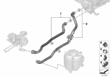 Diagram for BMW M340i Cooling Hose - 64219398959