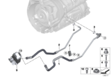 Diagram for BMW 335d Oil Cooler - 17217529499