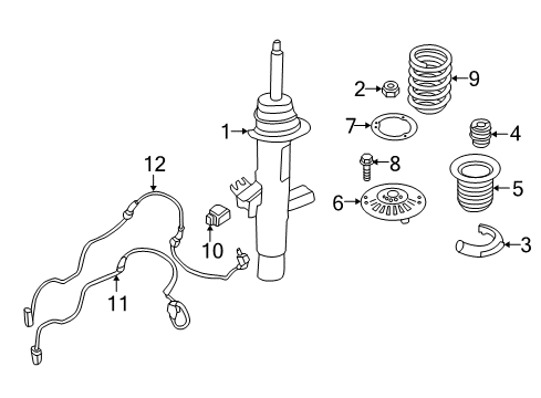 Front Coil Spring Diagram for 31336851923