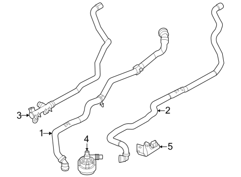 64217911775 BMW COOLANT HOSE SUPPLY 2