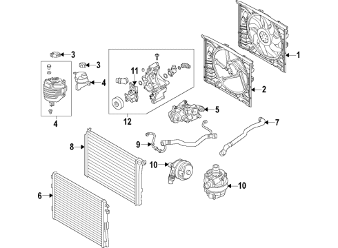 2021 BMW 530e HOSE RADIATOR-WATER PUMP Diagram for 17129895915