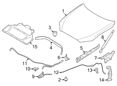 2025 BMW 430i xDrive Gran Coupe LEFT ENGINE HOOD SEALING Diagram for 51767486823