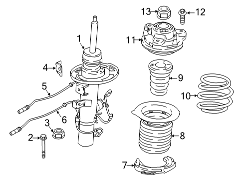 2023 BMW X3 M Front Coil Spring Diagram for 31336884930