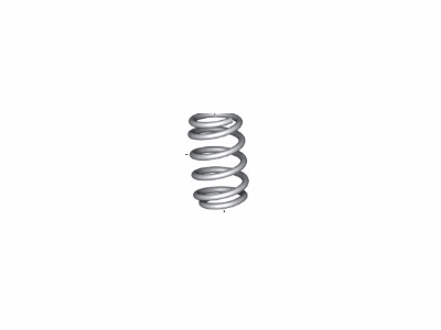 BMW M5 Coil Springs - 31337856971