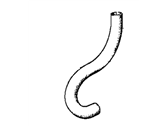 BMW 11151310811 Hose Line