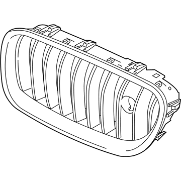 BMW 51118056324 Grille, Front, Right