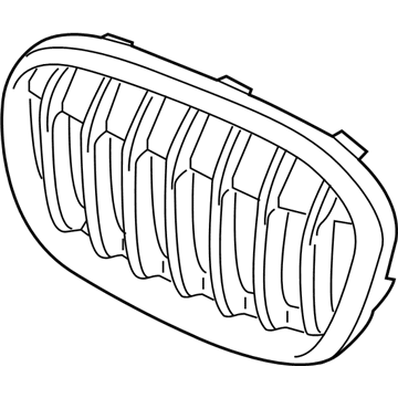 BMW 51117383365 Grille, Front, Left