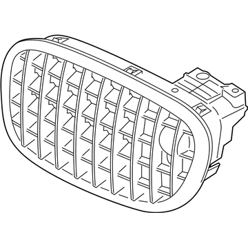 BMW 51137203204 Grille, Front, Right