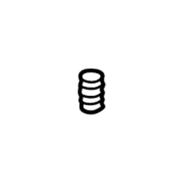 BMW 32411138010 Compression Spring