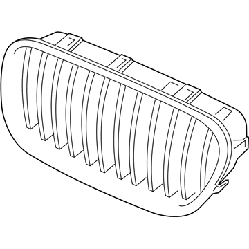 BMW 51137336485 Grille, Front, Left